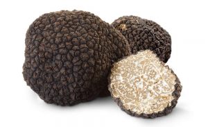 Nấm Truffle - Nấm đắt nhất thế giới được nhiều người biết